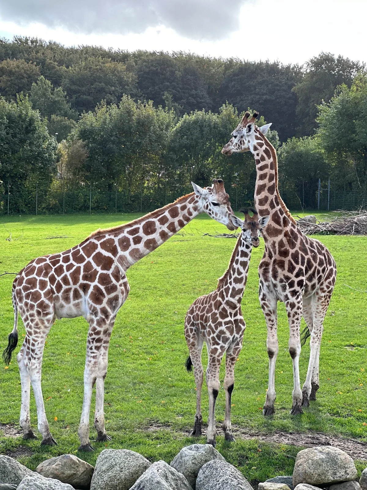 Aalborg Zoo